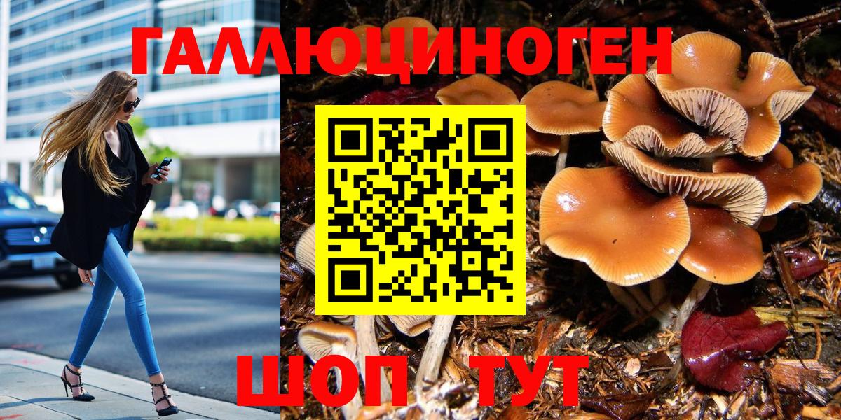 Ступино  Галлюциногенные грибы Psilocybine cubensis  Вход с VPN 