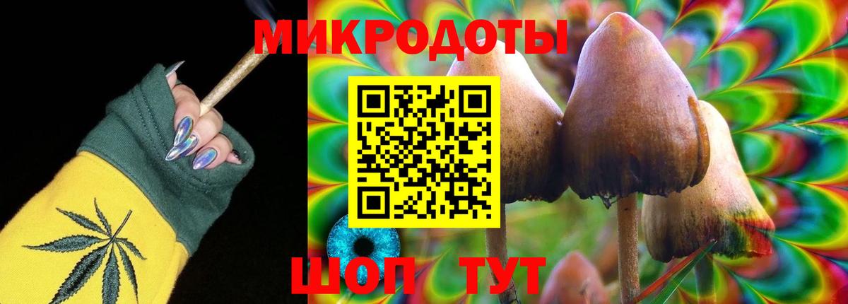 Галлюциногенные грибы Psilocybine cubensis Ступино