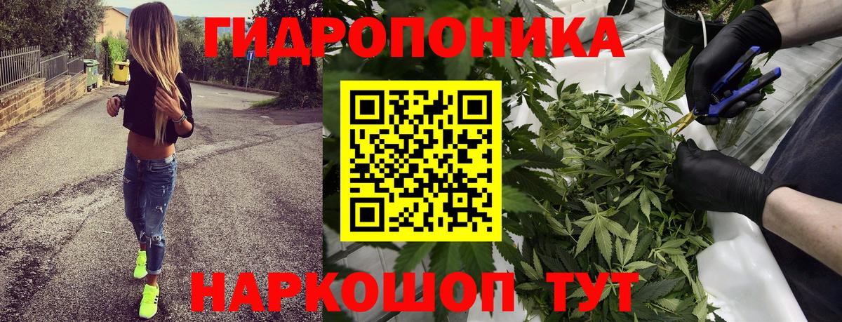 Шишки марихуана ГИДРОПОН Ступино